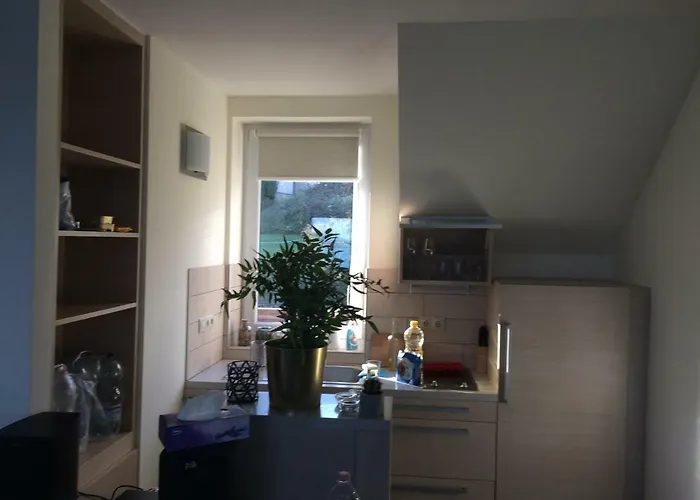 , View, Spacious Wellness, , 50m טיהאני