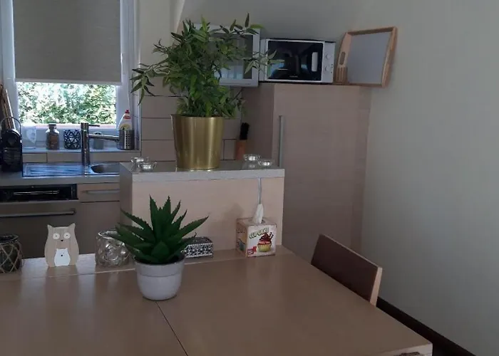 Apartment , View, Spacious Wellness, , 50m